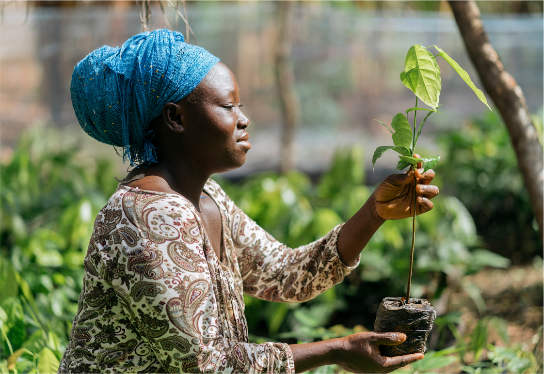 woman holding a plant ready to place in the ground